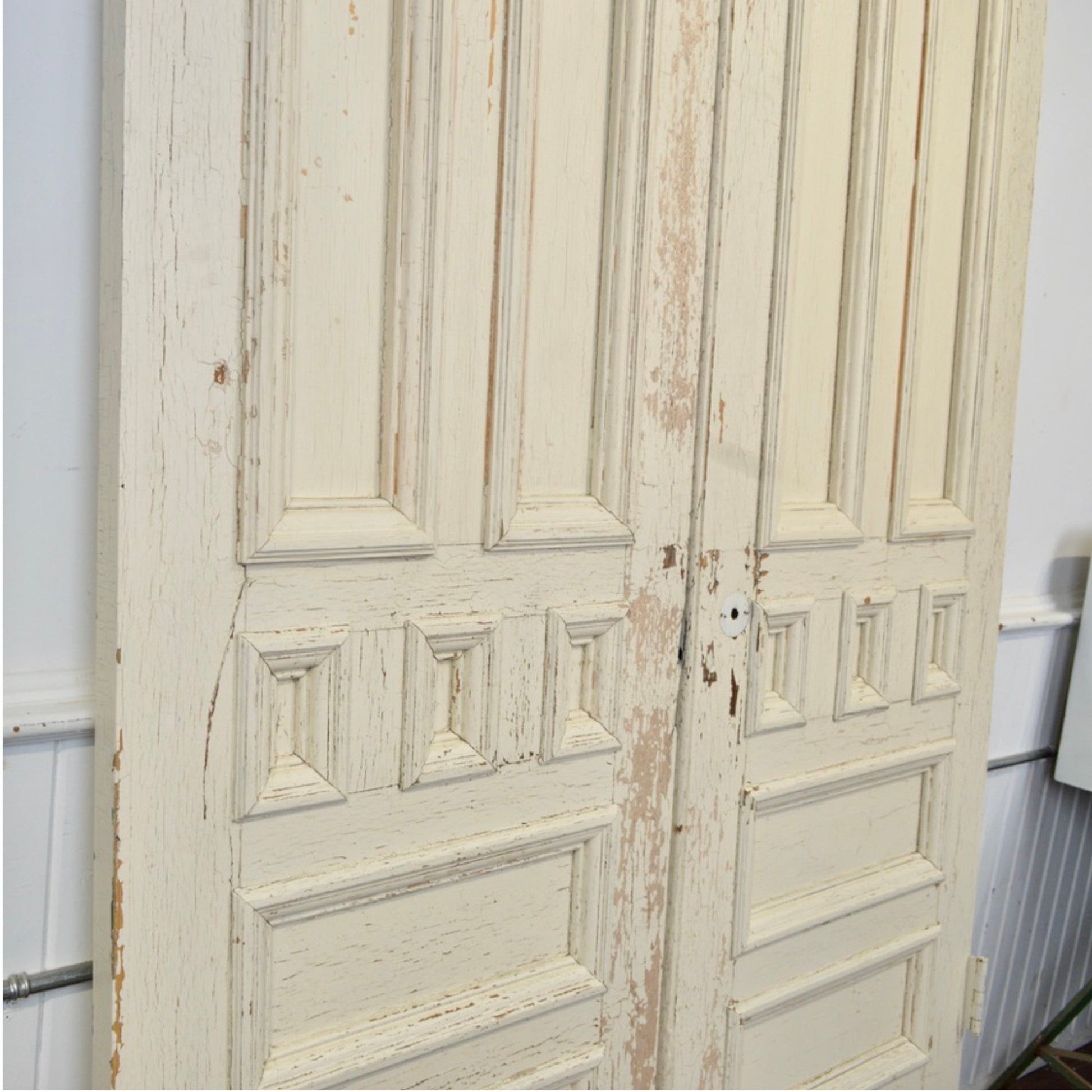 19th Century 9 Panel Entry Doors - Salvage-Garden