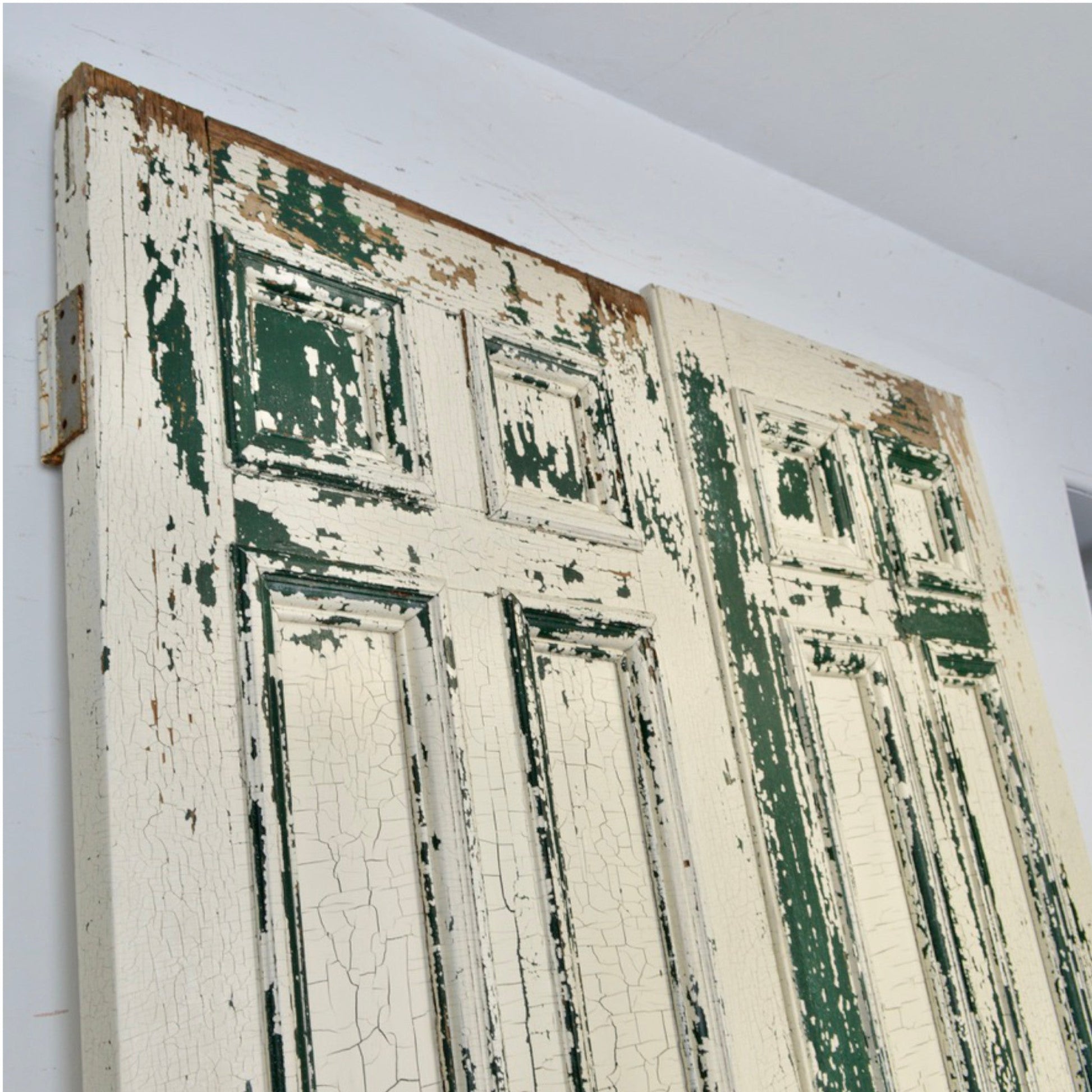 19th Century 9 Panel Entry Doors - Salvage-Garden