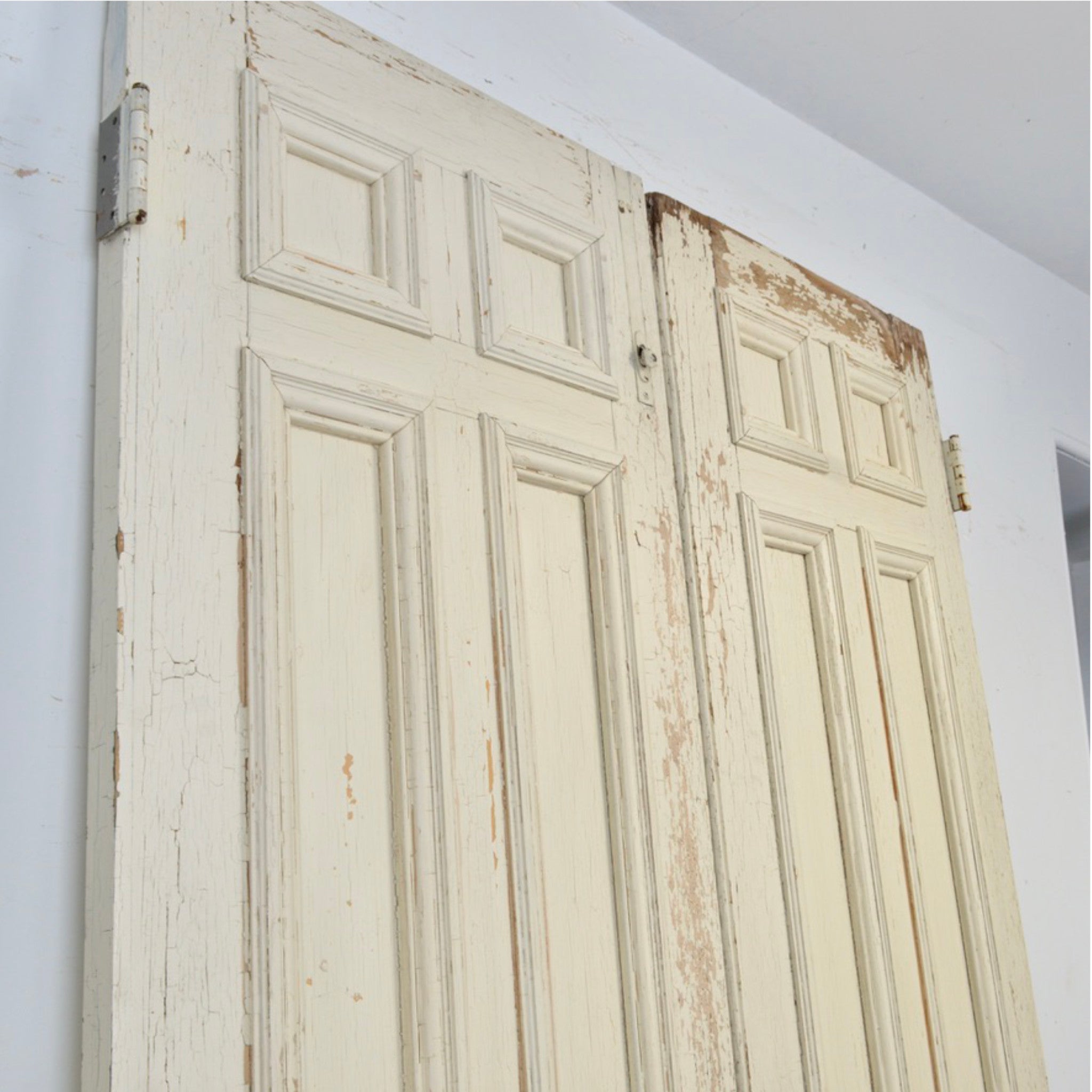 19th Century 9 Panel Entry Doors - Salvage-Garden
