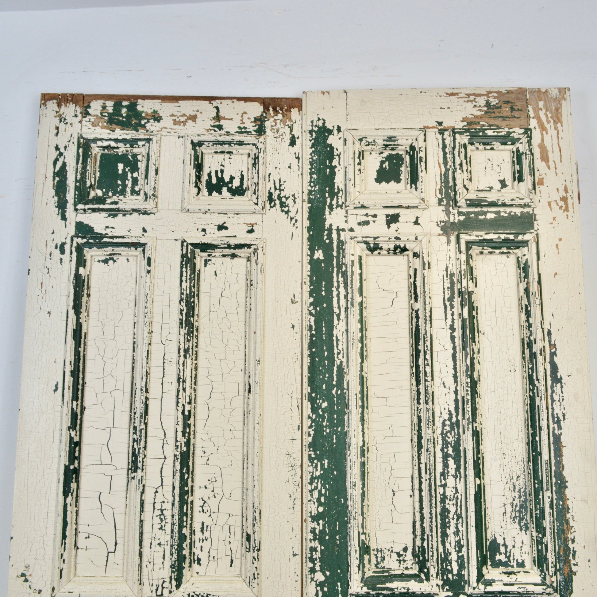 19th Century 9 Panel Entry Doors - Salvage-Garden