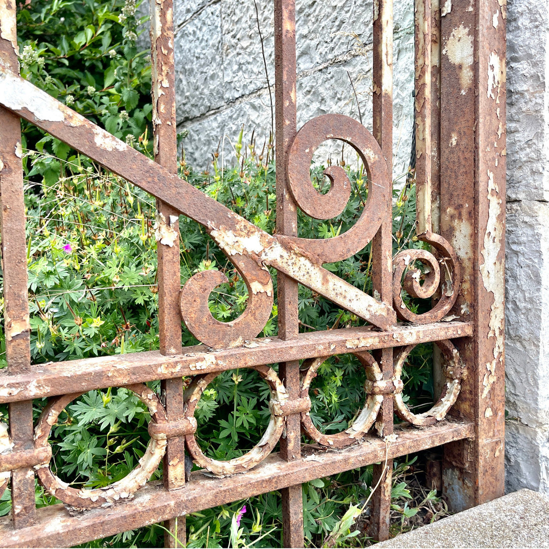 Where the Garden Ends