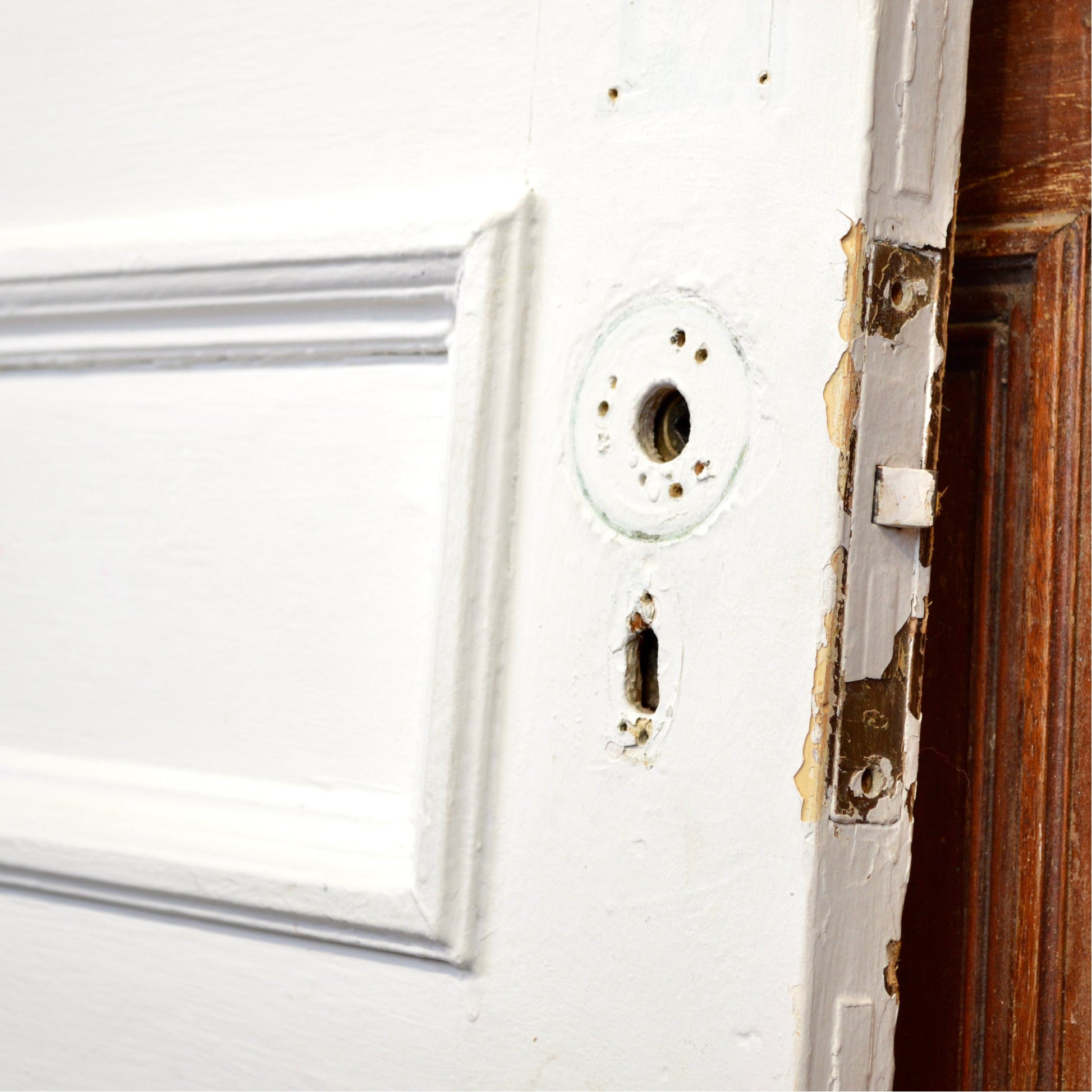 3 Panel Door French Door with 20 Lites - Salvage-Garden