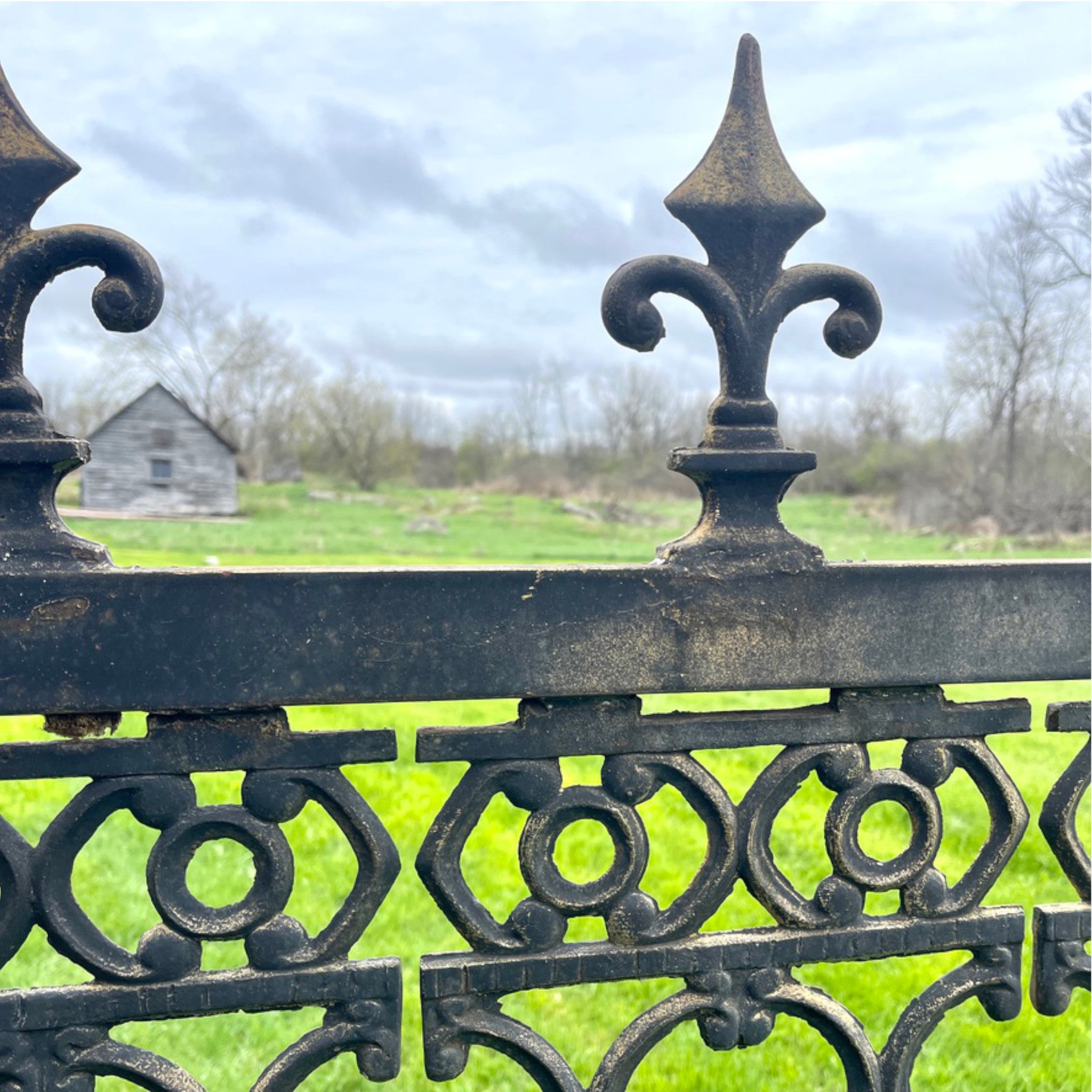 Estate Style Ornamental Iron Fence Panels | Set of 7 Sections