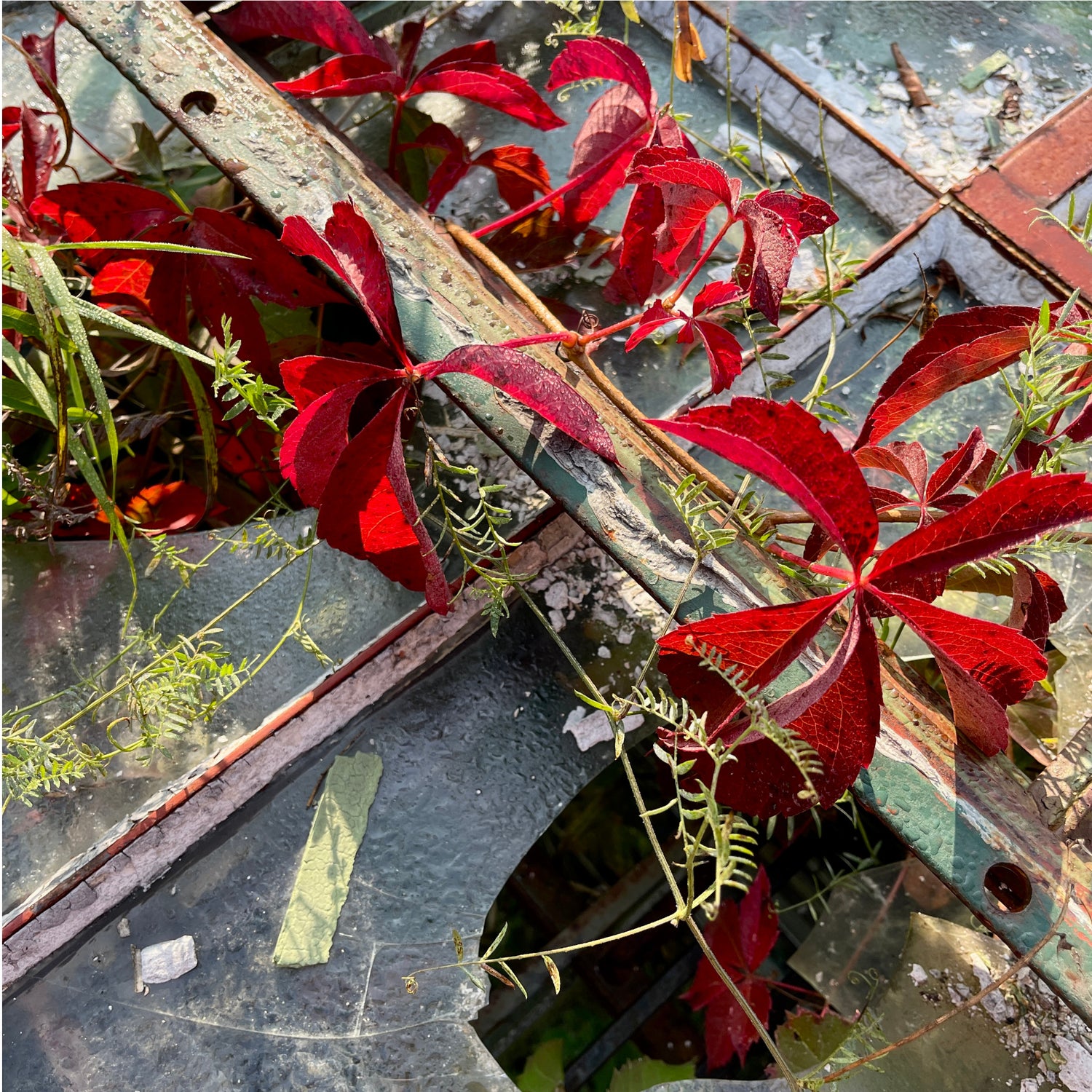 Architectural Salvage & Antiques