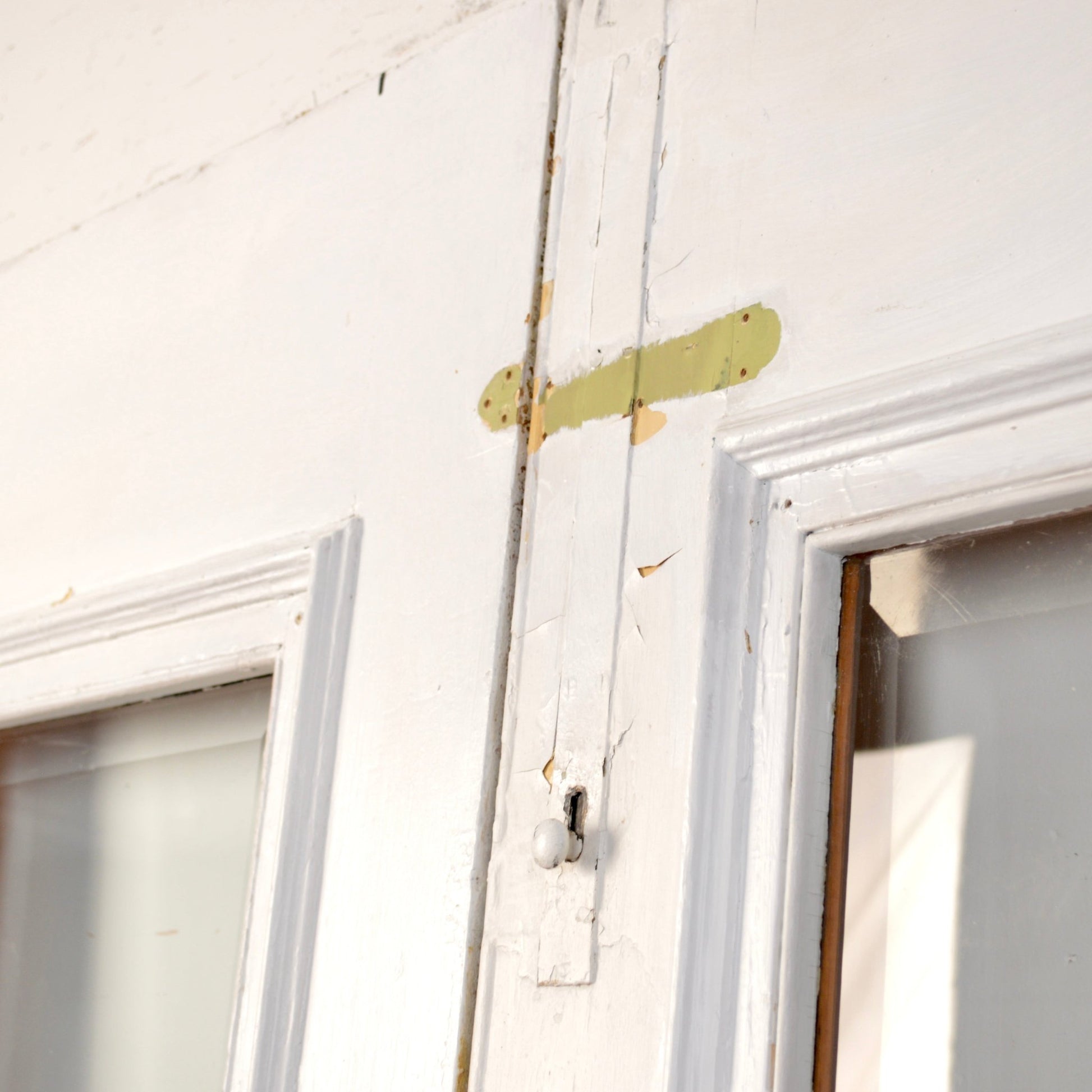 Antique Entrance Doors With Steel Security Bars - Salvage-Garden