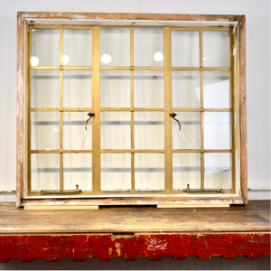 Salvaged Hope's Steel Frame Window - Salvage - Garden