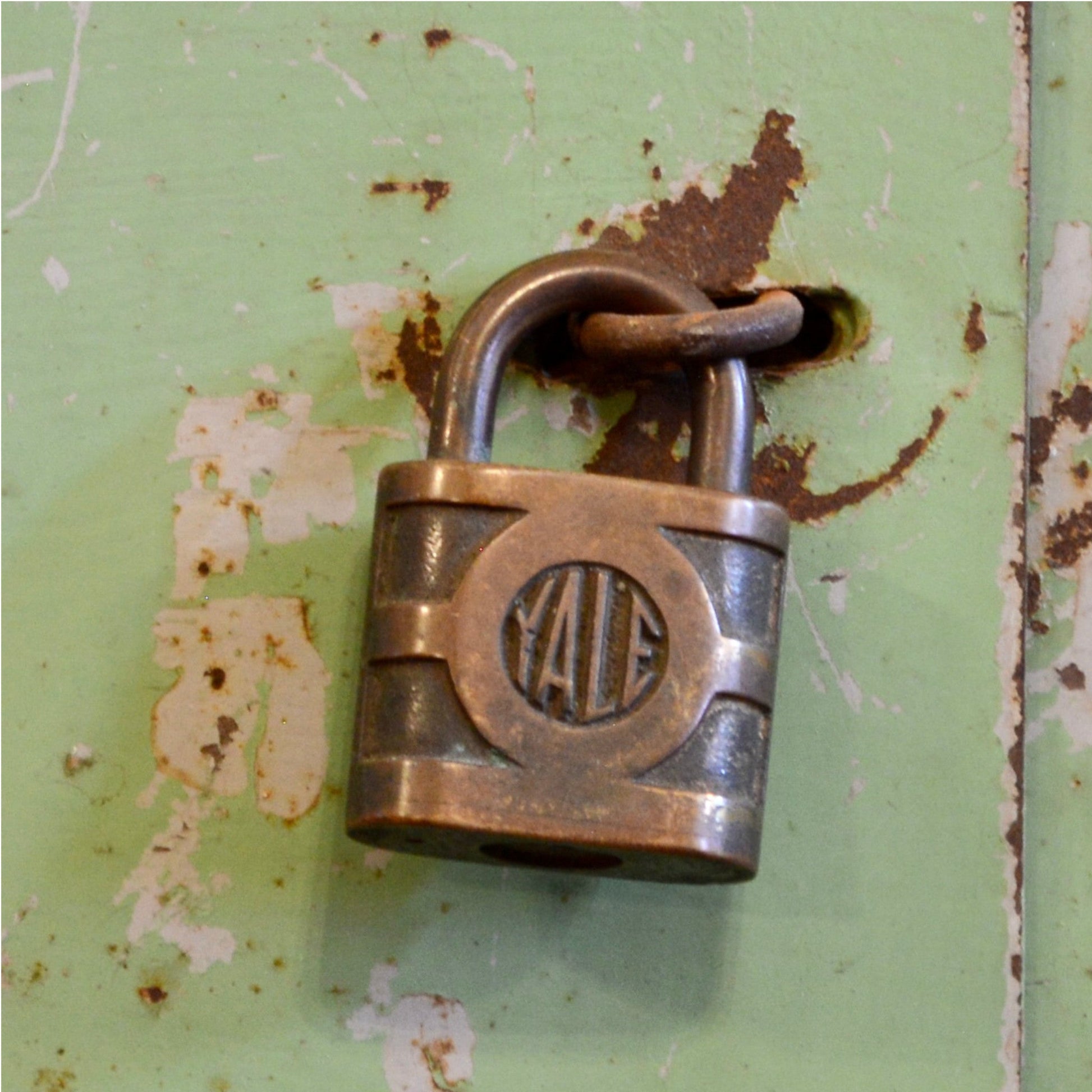Vintage Industrial Steel Cabinet - Salvage-Garden