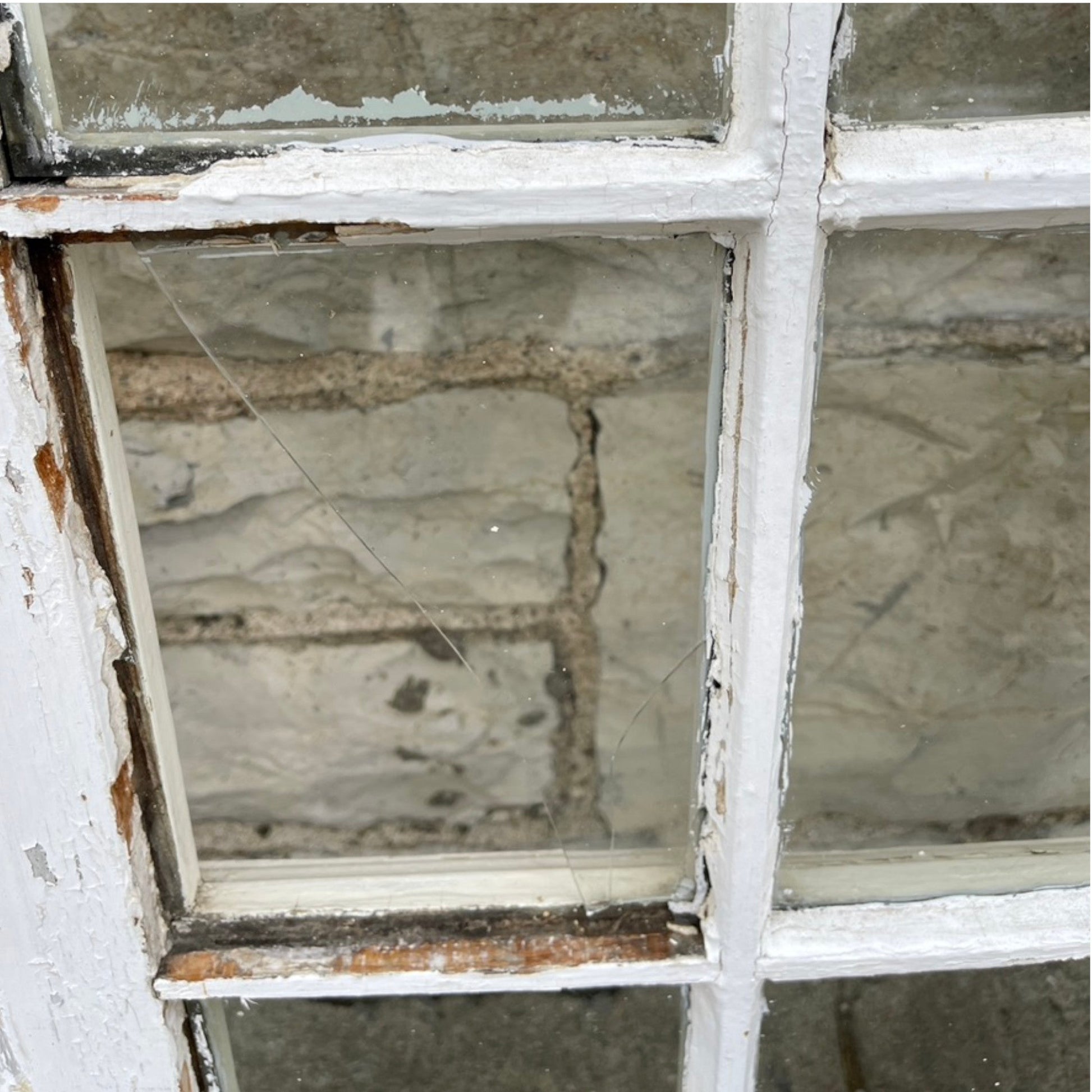 10 Lite Windows - Salvage-Garden