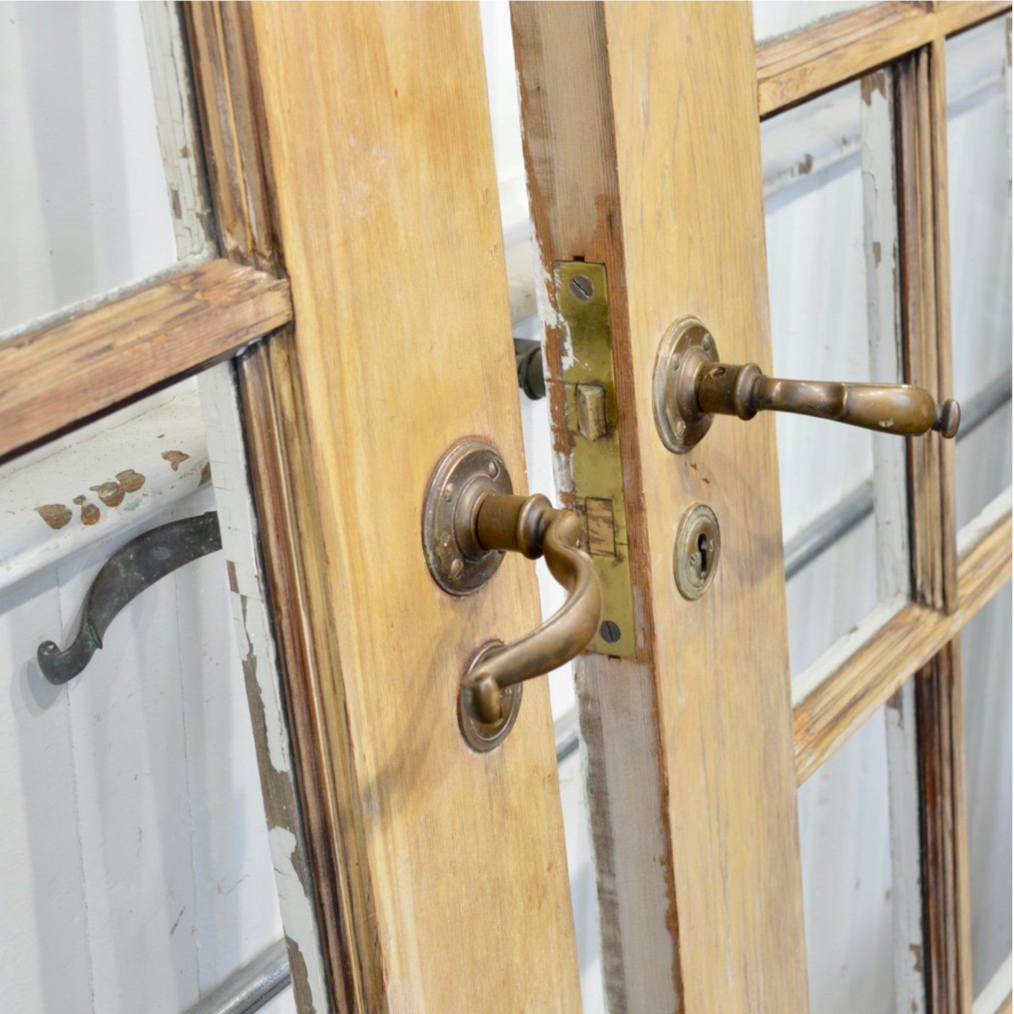 15 Lite Garden Doors With Brass Hardware - Salvage-Garden