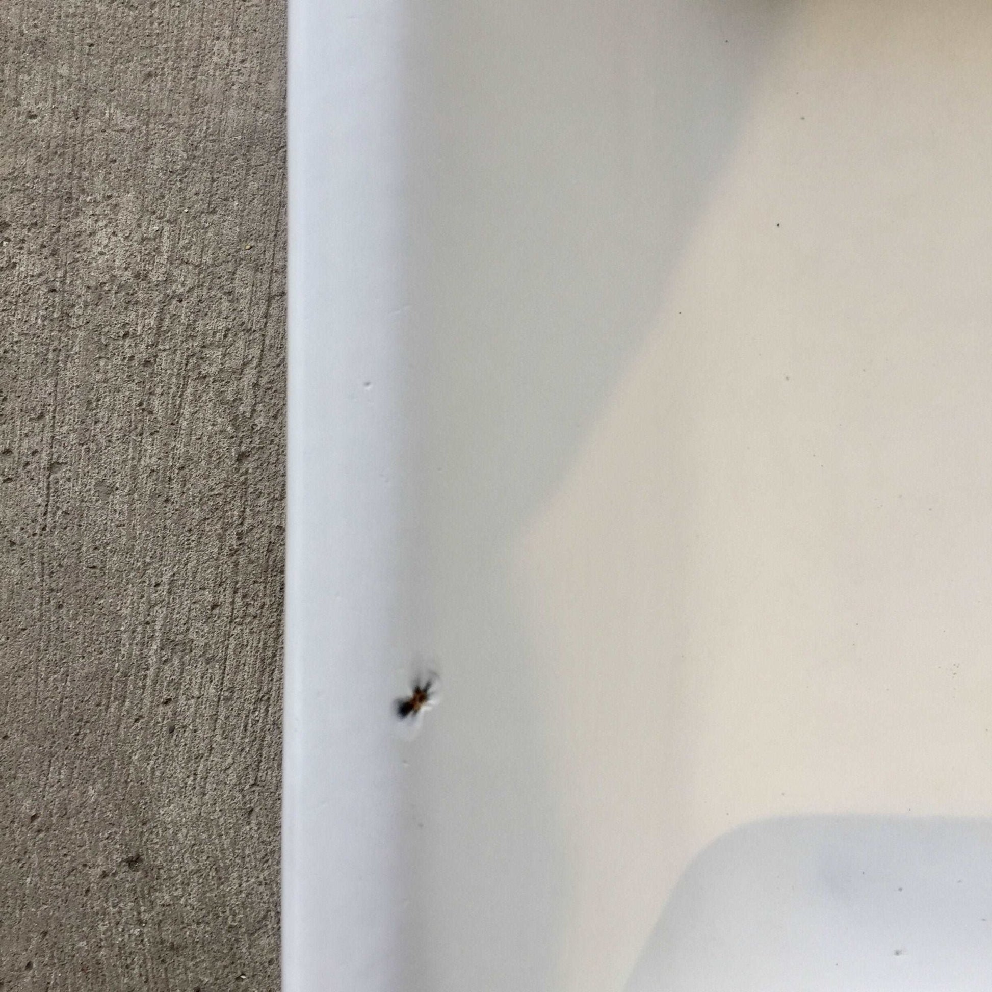 1940 Cast Iron Double Sink with Brass Fittings - Salvage-Garden