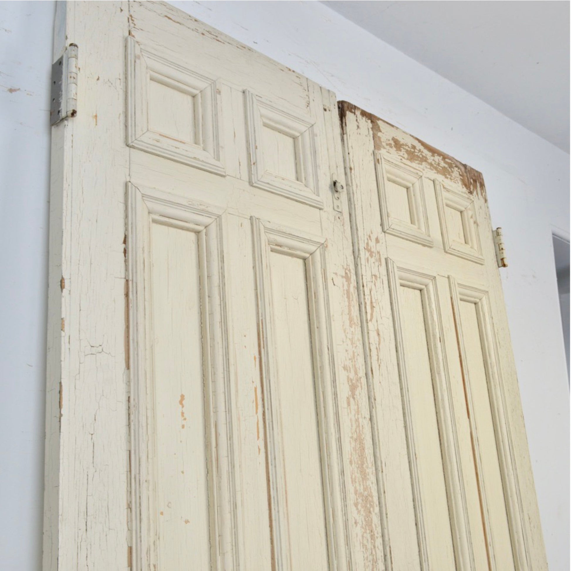 19th Century 9 Panel Entry Doors - Salvage-Garden