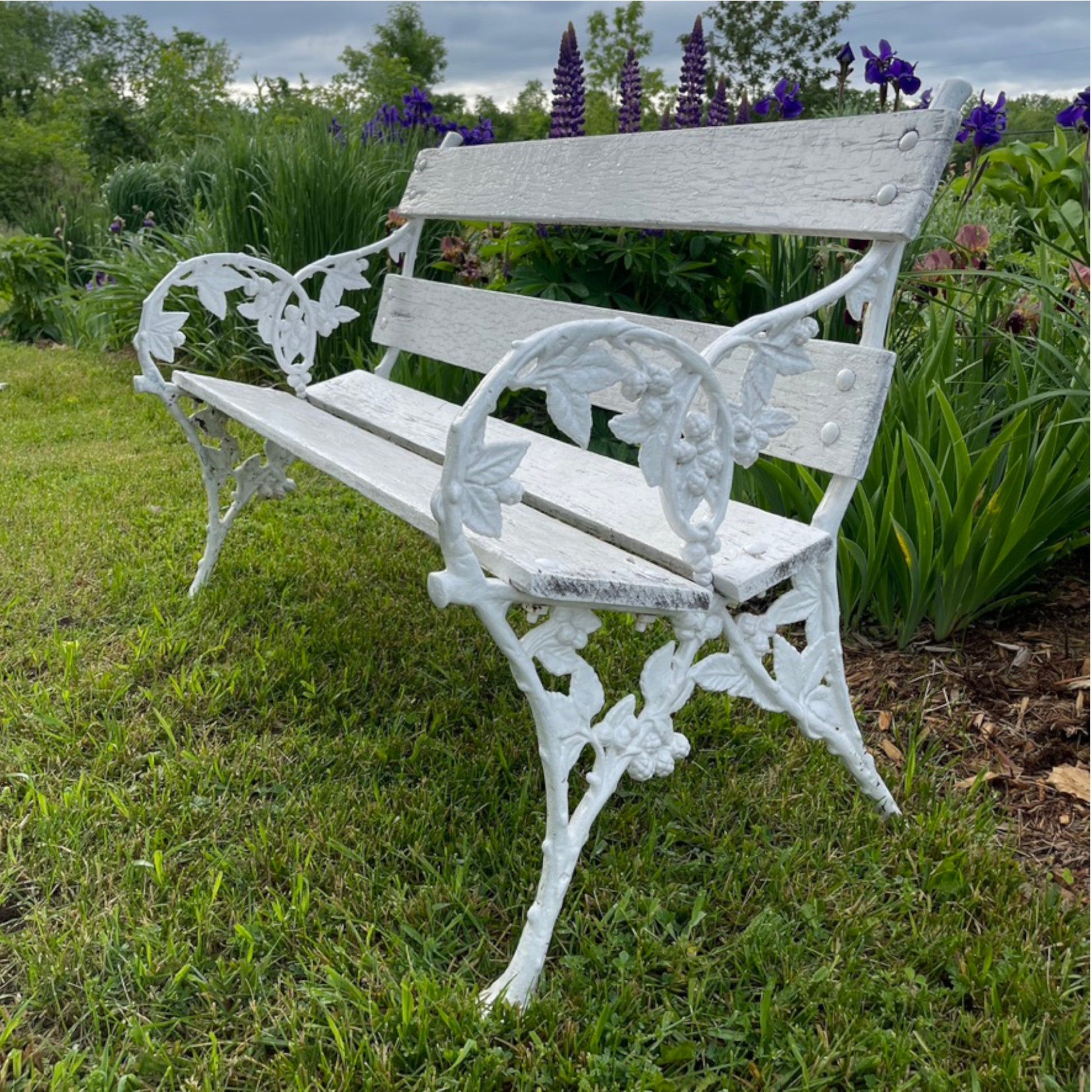 Blackberry & Bramble Cast Iron Bench - Salvage-Garden