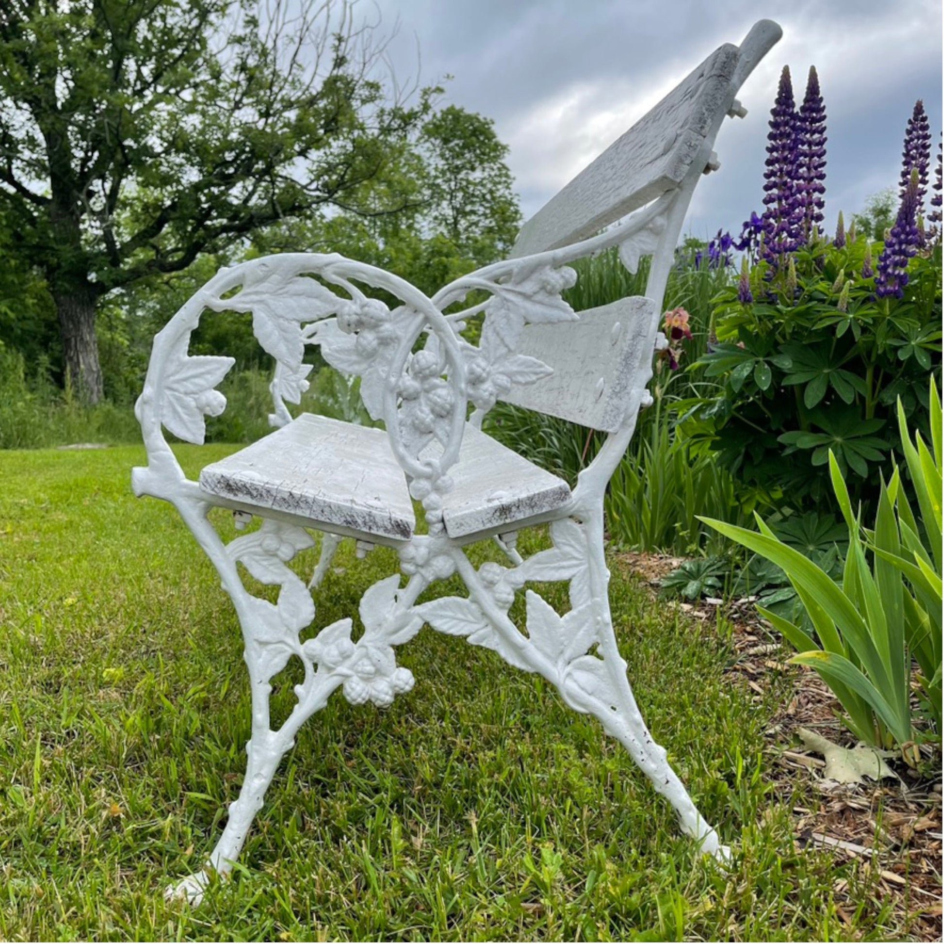 Blackberry & Bramble Cast Iron Bench - Salvage-Garden