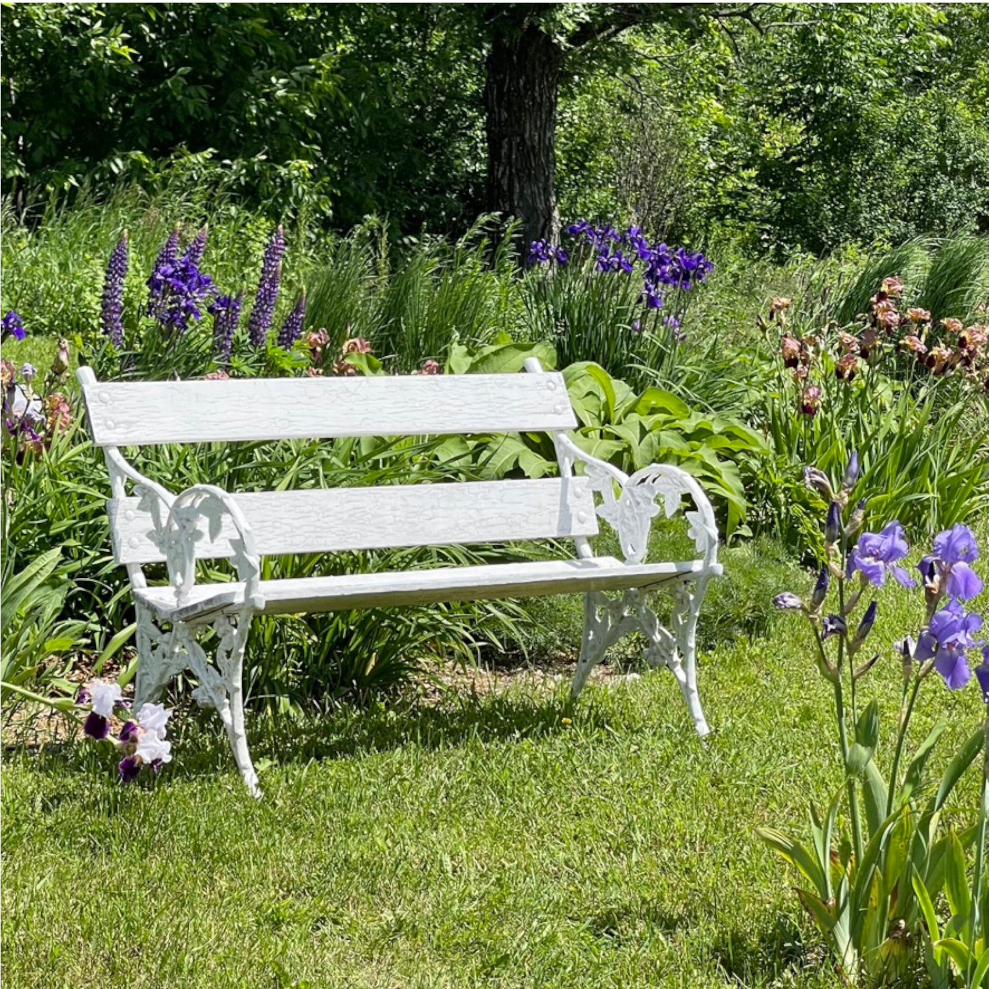 Blackberry & Bramble Cast Iron Bench - Salvage-Garden