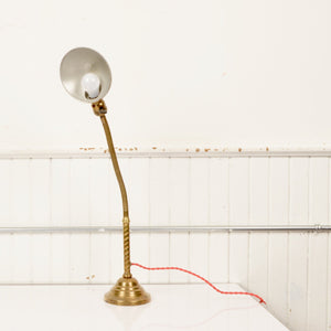 Brass Faries Co. Gooseneck Desk Lamp - Salvage-Garden
