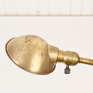 Brass Faries Co. Gooseneck Desk Lamp - Salvage-Garden
