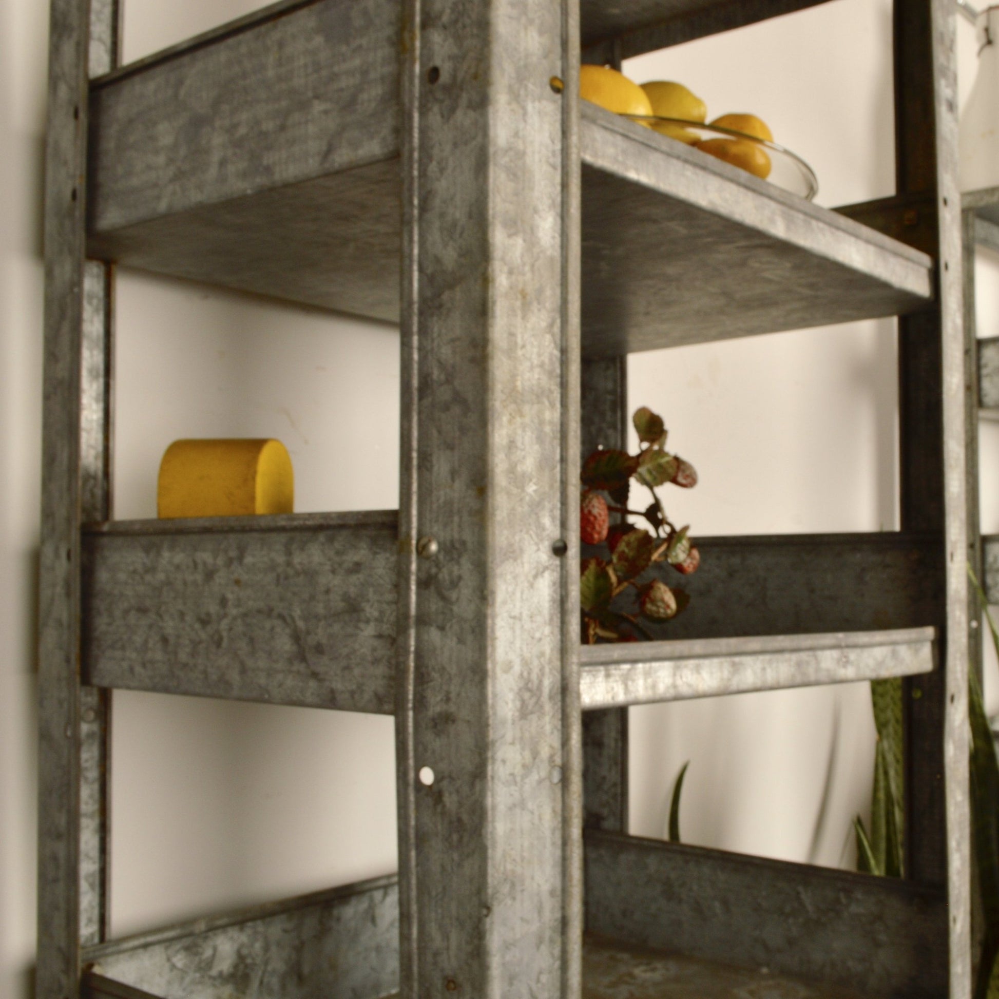 Industrial Galvanized Steel Shelf - Salvage-Garden