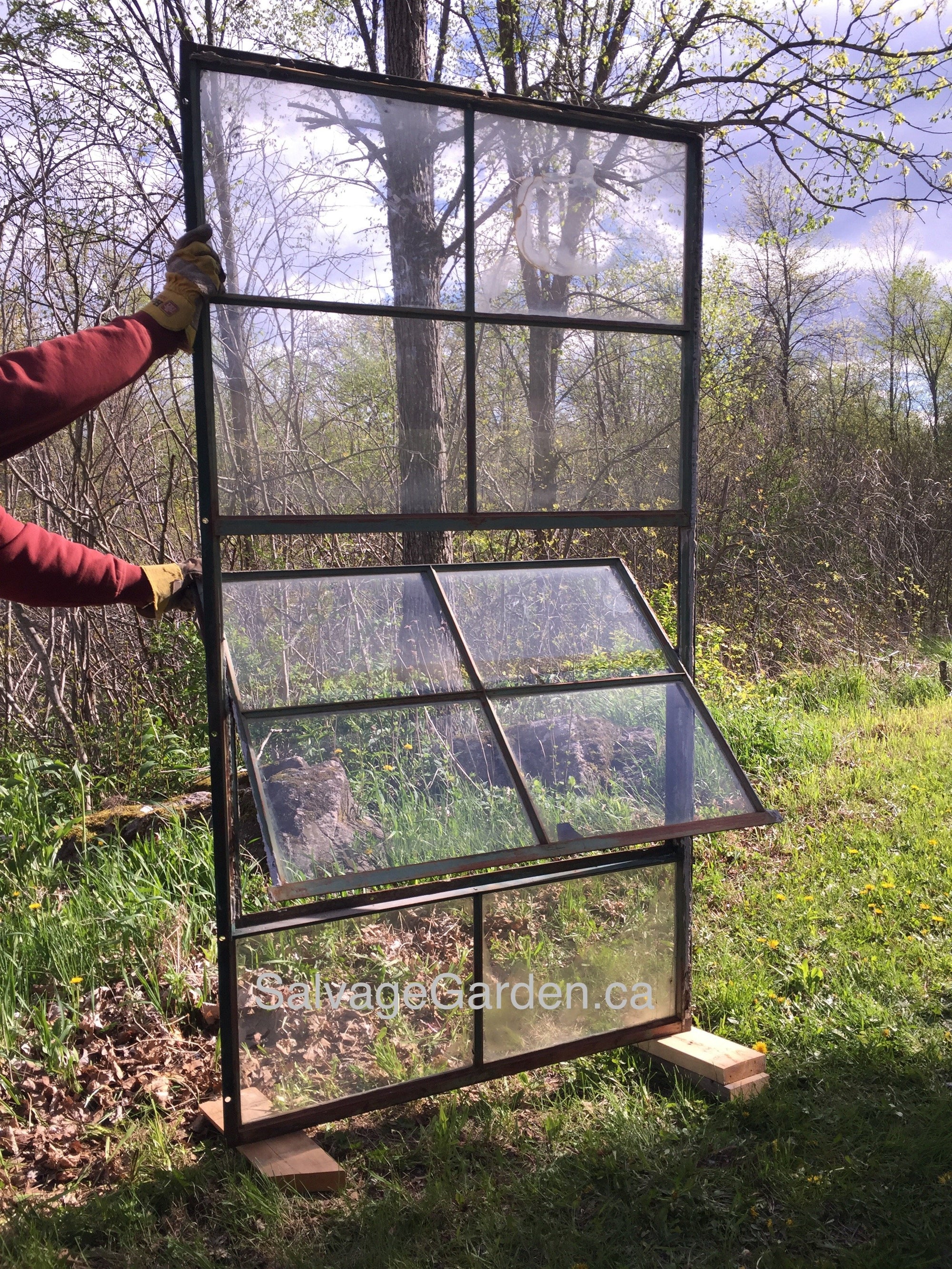 Large Steel Frame Windows Salvage-Garden