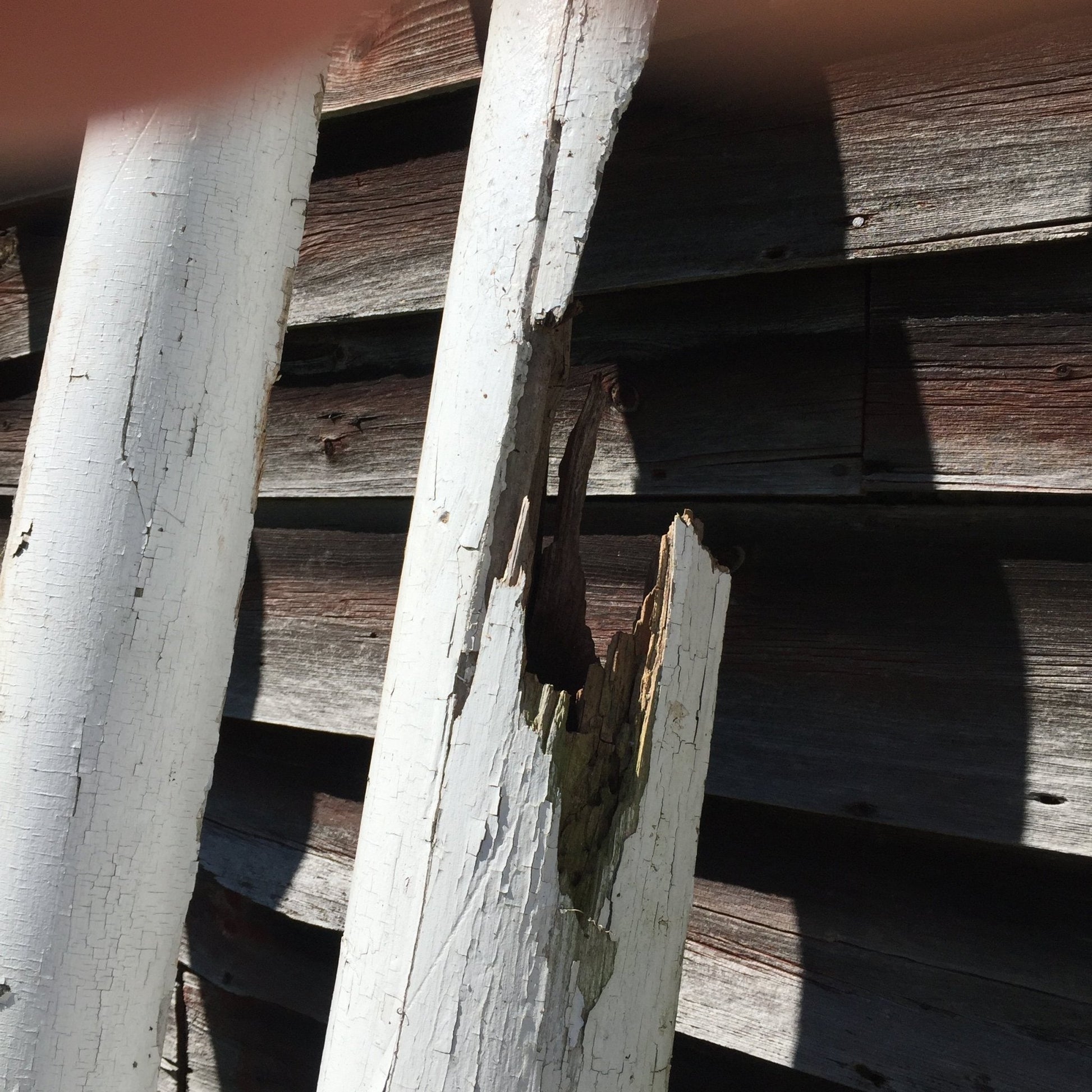 Salvaged Porch Pillar Set - Salvage-Garden