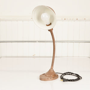 Vintage Apex Gooseneck Lamp With Parabolic Shade - Salvage-Garden