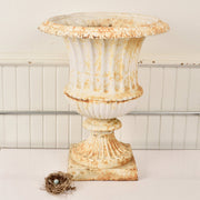 Vintage Cast Iron Garden Urn In Classic Campana Style - Salvage-Garden