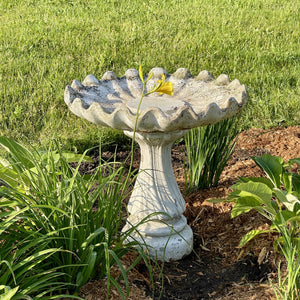 Vintage Concrete Bird Bath Salvage-Garden