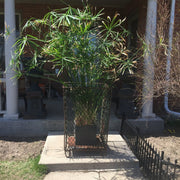 Vintage Woven Metal Waste Basket - Salvage-Garden